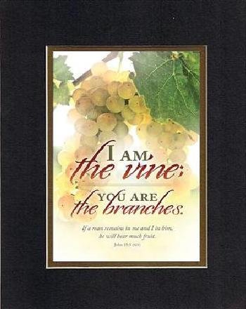 For General Inspiration - I am the vine; You are the branches . . . 8 x 10 Inches Biblical/Religious Verses set in Double Beveled Matting (Black on Gold) - A Timeless and Priceless Poetry Keepsake Collection On Sale
