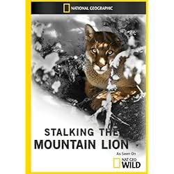 Stalking the Mountain Lion