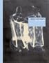 Joy Gregory: Objects of Beauty (Autograph)