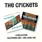 A Collection /california Sun-She Loves You