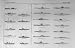 1953-54 Ships Submarines Pioner Pravda Arkhangelsk Boat