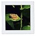 3dRose qs_72338_4 Curling Stones, Idaburn Dam, South Island, New Zealand-Au02 Dwa4682-David Wall-Quilt Square, 12 by 12-Inch