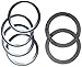 Atwood (96010 Ring and Gasket Kit