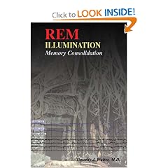 REM Illumination Memory Consolidation