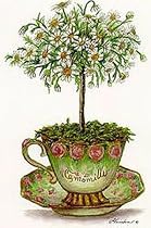 Tea Topiary 3 Art Poster Print by Consuelo Gamboa, 6x8