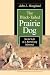 The Black-Tailed Prairie Dog: Social Life of a Burrowing Mammal (Wildlife Behavior and Ecology series)