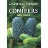 A Natural History of Conifers