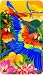 3d Motion Luggage Tag - Parrots