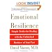 Emotional Resilience: Simple Truths for Dealing with the Unfinished Business of Your Past