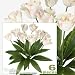 Six 24" Artificial Parrot Tulip Flower Bushes in Bridal Pink for Home,Garden, Wedding Decoration