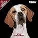 2009 Pointer Wall Calendar
