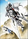 ブレイク ブレイド 10 限定版 (フレックスコミックス)