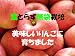 �礭���������ν��ʤΤߡ��ʣ������Ȣ�ǣ����������̡˻�������������դ��������