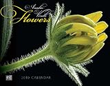Amalia Veralli Flowers 2010 Calendar