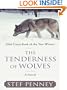 The Tenderness of Wolves (Historical Fiction)