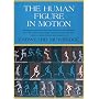 The Human Figure in Motion