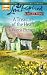 Book A Treasure of the Heart (Larger Print Love Inspired #413)