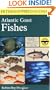 A Field Guide to Atlantic Coast Fishes : North America (Peterson Field Guides)