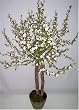40" Cherry Blossom Tree (Cream)