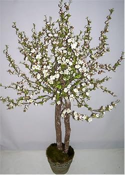 40" Cherry Blossom Tree (Cream)