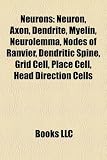 Neurons: Neuron, Axon, Dendrite, Myelin, Neurolemma, Nodes of Ranvier, Dendritic Spine, Grid Cell, Place Cell, Head Direction C