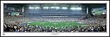 New York Giants Superbowl 42 Champions Stadium Panoramic Print (you choose frame and mat color)