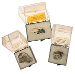 Mineral Set 03 Specularite Quartz Franklinite Smithsonite Specimen Box of 3