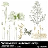 Photoshop Brushes - Alandia Brushes and Stamps