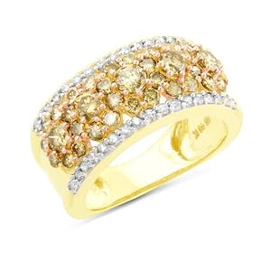 10k Yellow Gold Champagne White