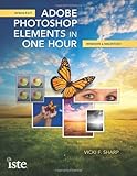 Adobe Photoshop Elements in one hour : versions 8 & 9 [for] Windows & Macintosh