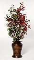 House of Silk Flowers Artificial Capensia Floor Plant 24"W x 52"H