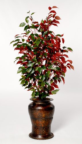 House of Silk Flowers Artificial Capensia Floor Plant 24"W x 52"H