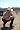 No Country for Old Men