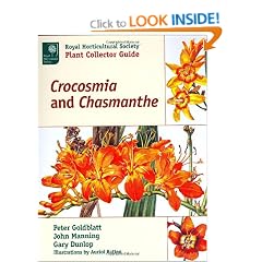 Crocosmia and Chasmanthe