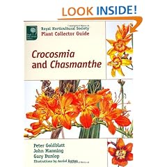Crocosmia and Chasmanthe