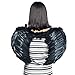 DAZONE Black Angel Feather Wings Costume