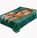 Solaron King Lion Korean Mink Blanket