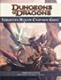 Forgotten Realms Campaign Guide, 4th Edition