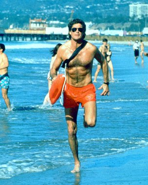 celebrity photos DAVID HASSELHOFF 8x10 COLOR PHOTO