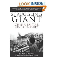 Struggling Giant: China in the 21st Century