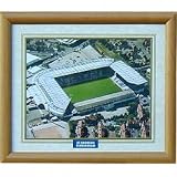 Birmingham City Framed Print