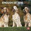 English Setters 2012 Square 12X12 Wall Calendar