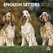 English Setters 2012 Square 12X12 Wall Calendar by BrownTrout Publishers Inc