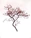Manzanita Branch Centerpieces (Pack of 6)