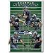 Seattle Seahawks Team Field Sports Poster Print - 22x34