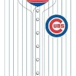 Chicago Cubs MLB Book Cover