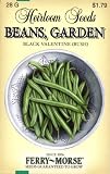 Ferry-Morse 3748 Heirloom Seeds Beans - Black Valentine