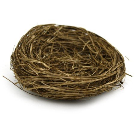 Wild Grass Bird