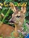 Tiere im Wald: Die sch�nsten B