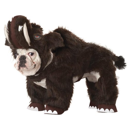 Dinosaur Costumes for Dogs Best Costumes for Halloween